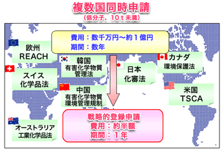 複数国同時申請