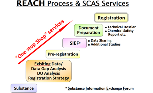 Data gap analysis DU analysis SIEF Technical Dossier Chemical Safety Report