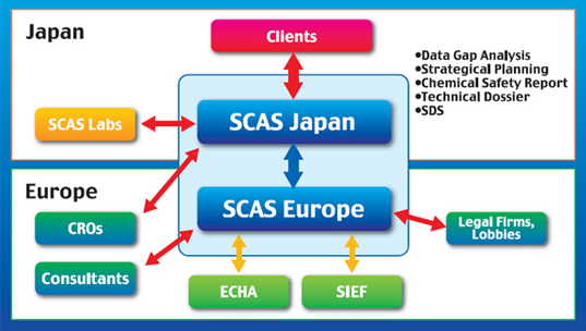 Data gap analysis SIEF Technical Dossier Chemical Safety Report