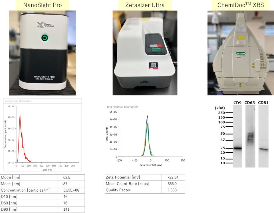 Composite figure showing three analytical instruments and their measurement results: NanoSight Pro with a particle size distribution graph and summary table, Zetasizer Ultra with a zeta potential distribution graph and summary table, and ChemiDoc™ XRS with an image of gel bands for CD9, CD63, and CD81.