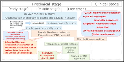 An image explaining how pharmacokinetic studies are conducted as part of ADC research and development in pharmaceutical companies.