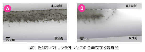 色付きソフトコンタクトレンズ（カラーコンタクトレンズ）の色素存在位置確認の観察写真。瞼側（まぶた側）と眼球側で色素（着色部）の存在位置が異なる。