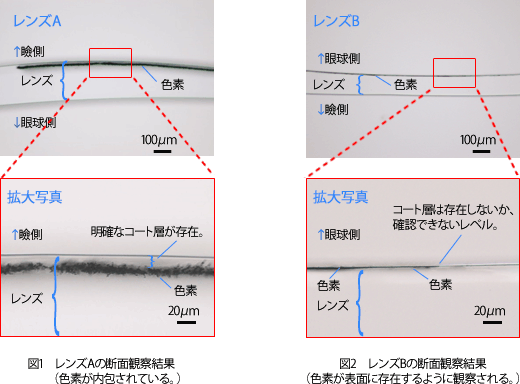 レンズの断面観察写真。断面観察結果。色素が内包されていることがわかる。色素が表面に存在することがわかる。