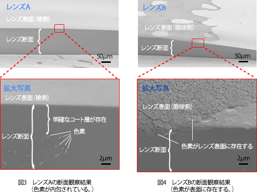 走査電子顕微鏡（SEM:Scanning Electron Microscope）によるレンズの断面観察結果。明確なコート層が存在することが確認できる。色素がレンズ表面に存在することが確認できる。