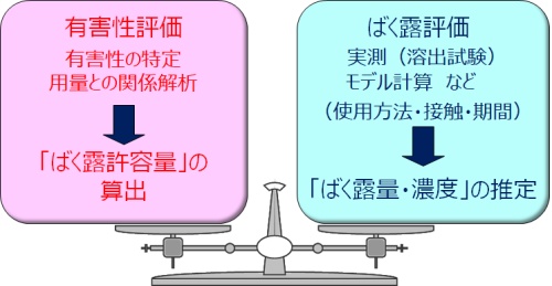 溶出物中の（溶出液中の）化学物質の有害性を評価し、用量との関係を解析する。暴露許容量を算出する。使用方法や接触部位、接触期間などから、溶出試験やモデル計算により、ばく露量、濃度を推定する。