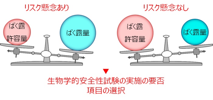 ばく露量と暴露許容量を比較し、リスク懸念の有無を判断する。生物学的安全性試験（動物試験）の実施の要否を判断する。エンドポイントを選択する。