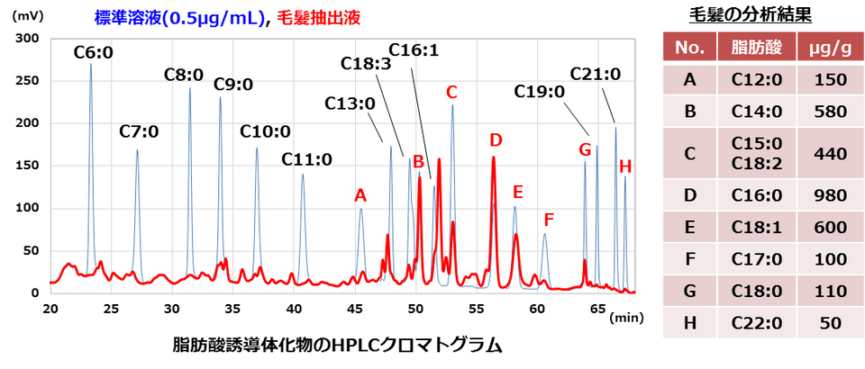 標準溶液及び毛髪抽出液中脂肪酸誘導体化物のHPLCクロマトグラム
