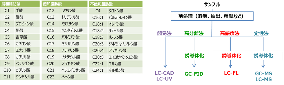 各種脂肪酸の炭素数別成分名一覧及び分析フロー