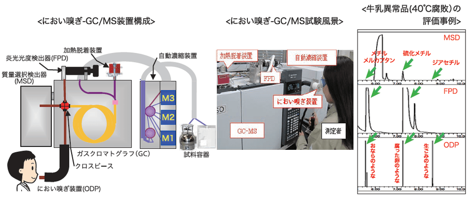 におい嗅ぎ-GC/MS装置構成、試験風景及び牛乳異常品の評価事例