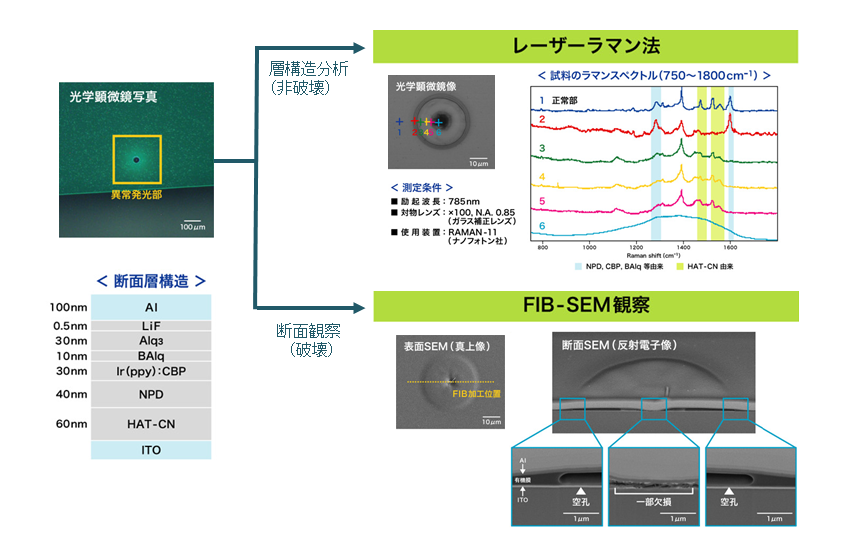 欠陥・劣化解析分析手順解析事例2(レーザーラマン法／FIB-SEM観察)