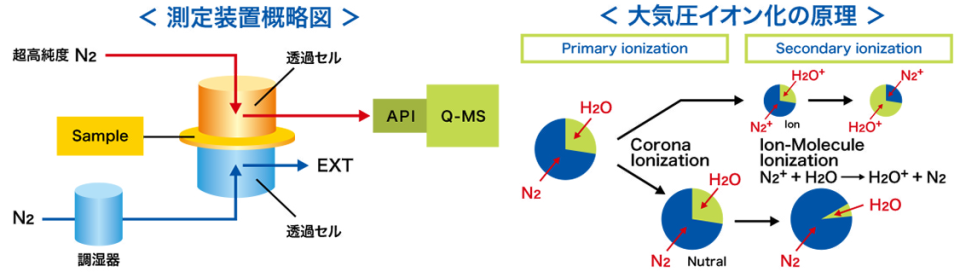 バリア性評価＿原理（大気圧イオン化法）