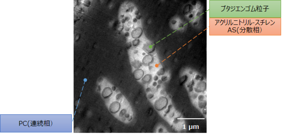 図3 PC/ABSのTEM観察写真
