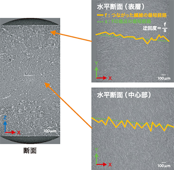 図2 不連続CFRPの断面と水平断面の繊維配向解析