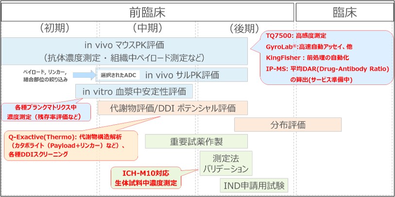 ADC研究開発における薬物動態研究イメージを説明する画像