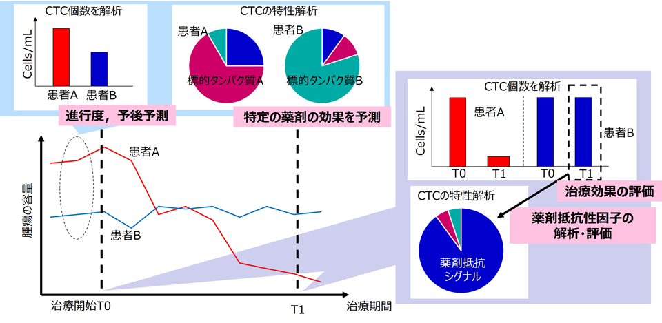 がん治療の研究開発において期待されるCTC解析データの用途の説明画像