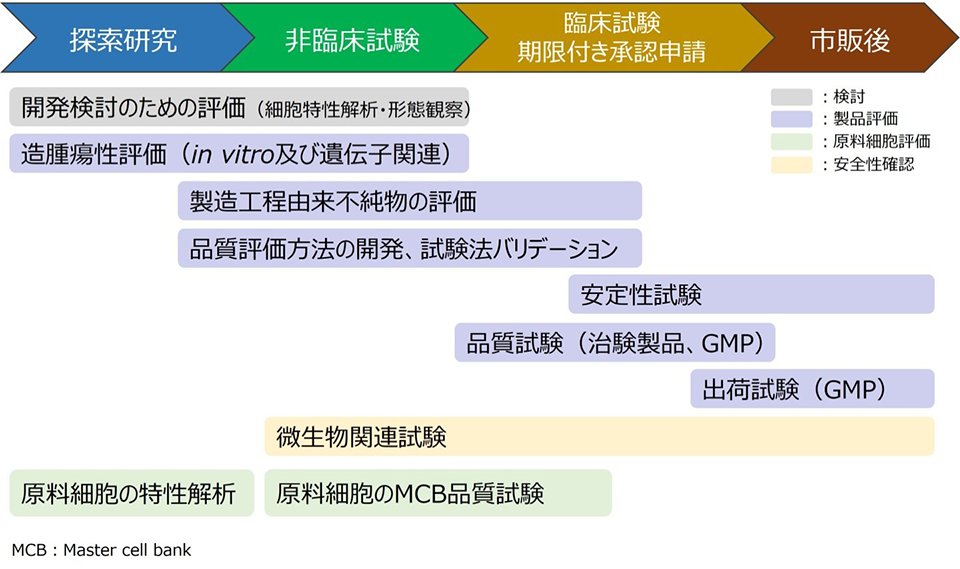 再生医療等製品・細胞医薬品開発における住化分析センターの支援サービスをまとめた図。研究開発段階から市販後評価まで幅広く対応可能である。