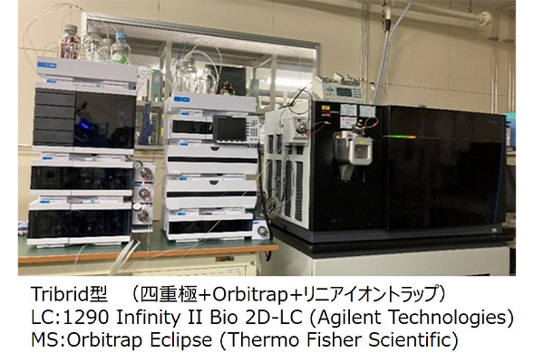 2D-LCシステムの写真