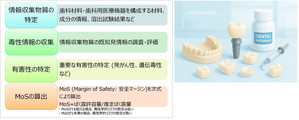 歯科材料・歯科用医療機器の毒性学的リスクアセスメント手順を示すフロー図。情報収集物質の特定、毒性情報の収集、有害性の特定、安全マージンMoSの算出の4段階の評価プロセスを示し、企業担当者向けにリスクアセスメントの流れを分かりやすく解説。住化分析センターの毒性学の専門知識と豊富な経験を持つリスク評価の専門家が、信頼性の高い評価報告書を提供。