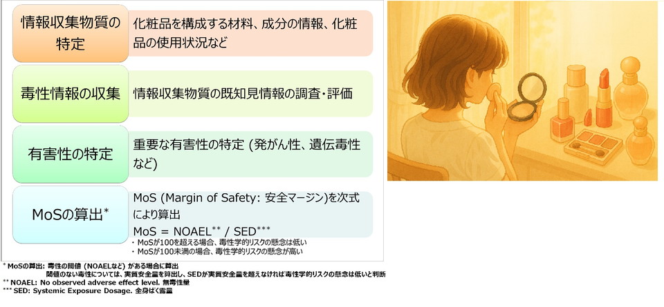 化粧品のリスクアセスメント手順を示すフロー図。情報収集物質の特定、毒性情報の収集、有害性の特定、安全マージンMoSの算出の4段階の評価プロセスを示し、企業担当者向けにリスクアセスメントの流れを分かりやすく解説。住化分析センターの毒性学の専門知識と豊富な経験を持つリスク評価の専門家が、信頼性の高い評価報告書を提供。