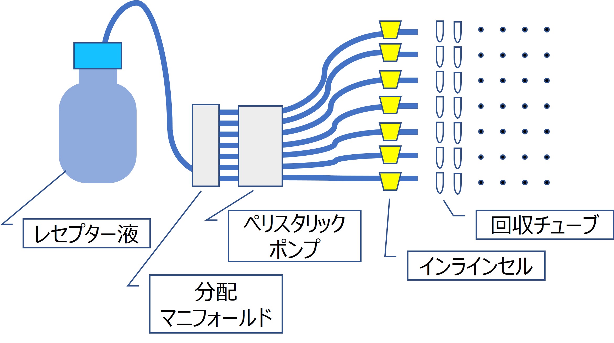 図1　システム概要