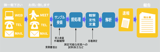 Analysis Procedures