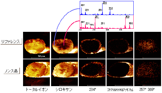 Fig. 1: Results of TOF-SIMS analysis of a hair cross-section