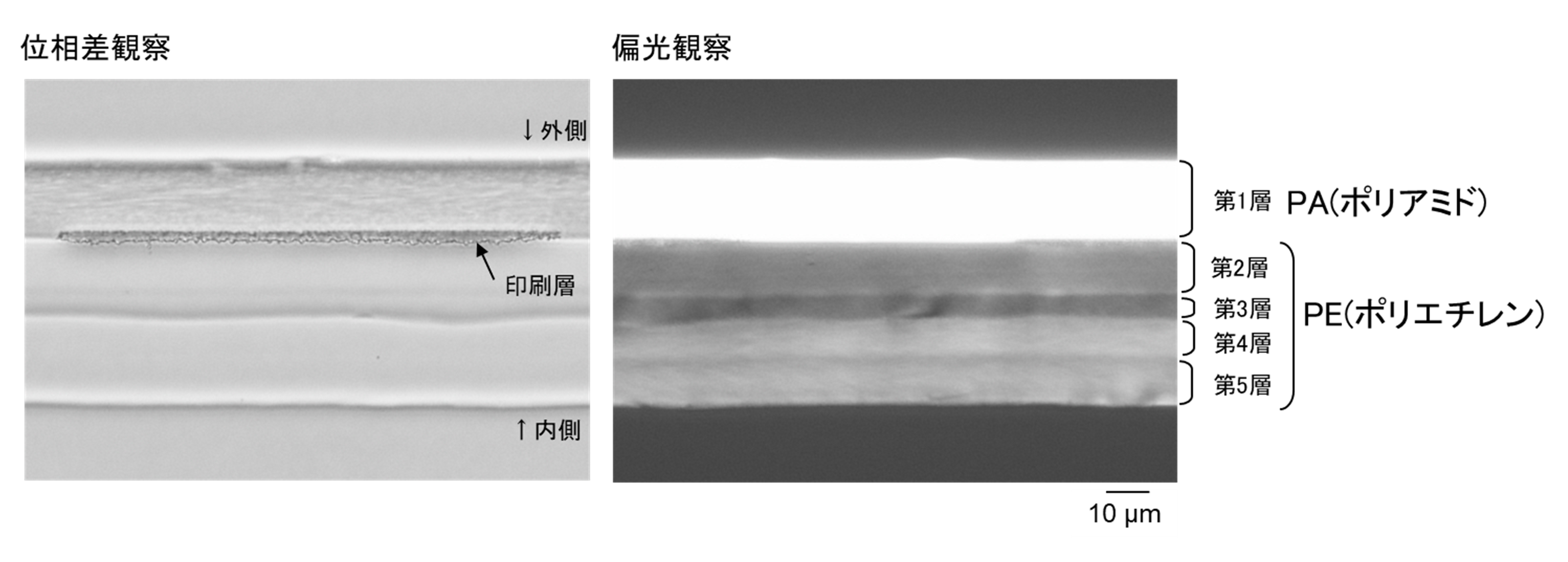 図1　包装用フィルムの断面の光学顕微鏡写真