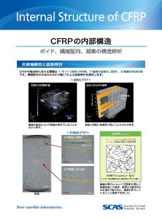 Internal Structure of CFRP